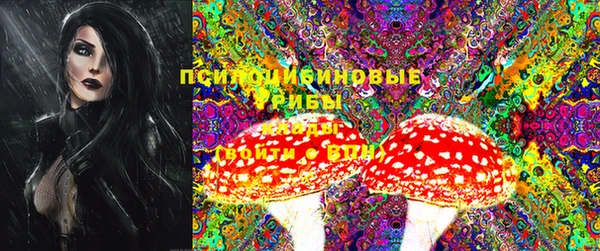 сатива Кукмор